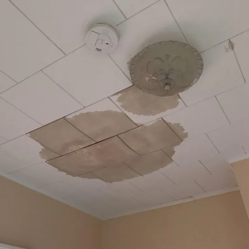 Ceiling Water Damage Repair in Orland, ME