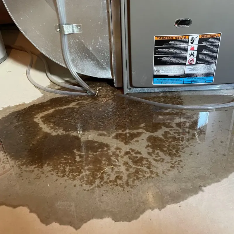 Pipe Burst and Leak Restoration in Orland, ME